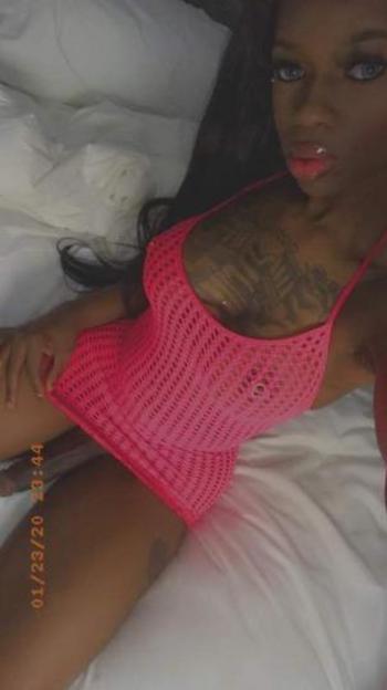 3862706081, transgender escort, Daytona