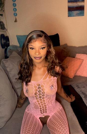 8509356828, transgender escort, Daytona