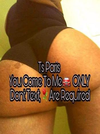 7548015997, transgender escort, Daytona