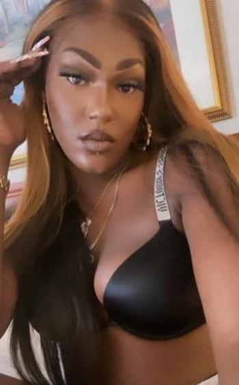 7864859403, transgender escort, Daytona